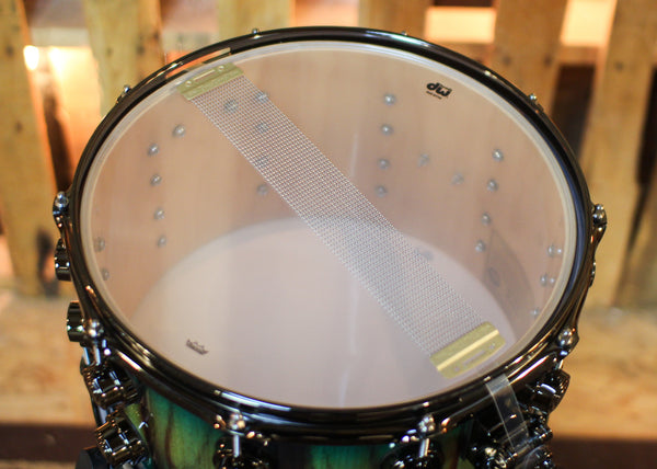 DW 8x14 Collector's SonicPly Natural to Regal Blue Burst over Candy Stripe Padauk Snare Drum - SO#1441739