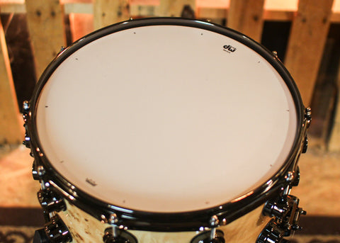 DW 8x14 Collector's Maple VLT Natural Lacquer over Mapa Burl Snare Drum - SO#1409995